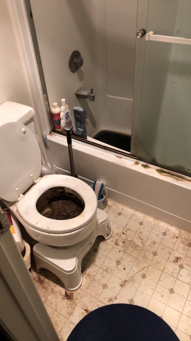 Sewage cleanup — fixture removed for Category 3 work