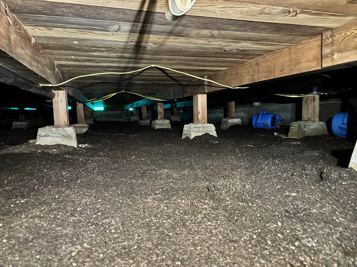 Crawlspace extraction and drying — All Action Water Damage